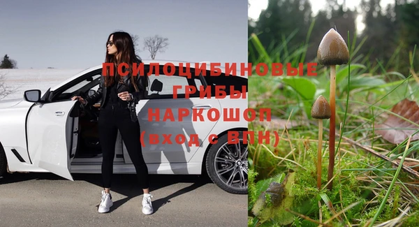 бошки Нея