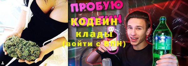 стаф Снежногорск
