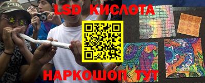 стаф Абакан