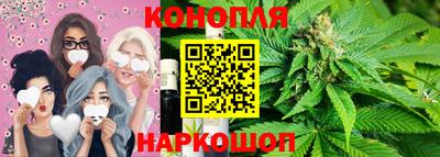 шишки Абинск