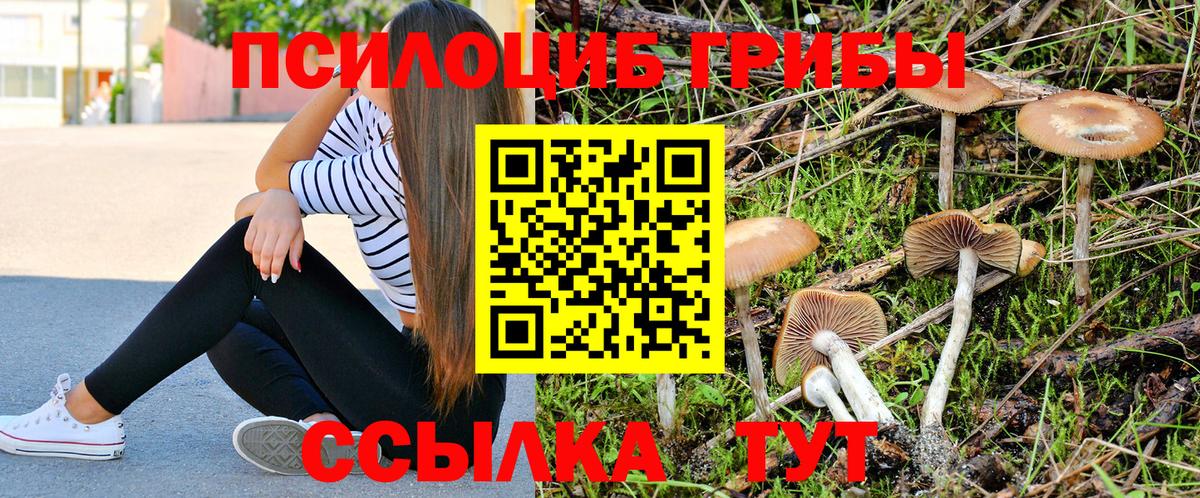 Псилоцибиновые грибы GOLDEN TEACHER  Александров 