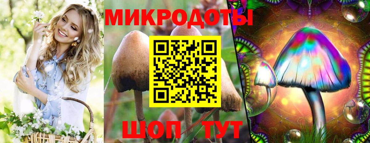 Галлюциногенные грибы Cubensis Александров