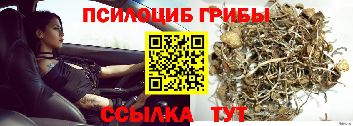 Псилоцибиновые грибы прущие грибы  Вход с VPN  Александров 