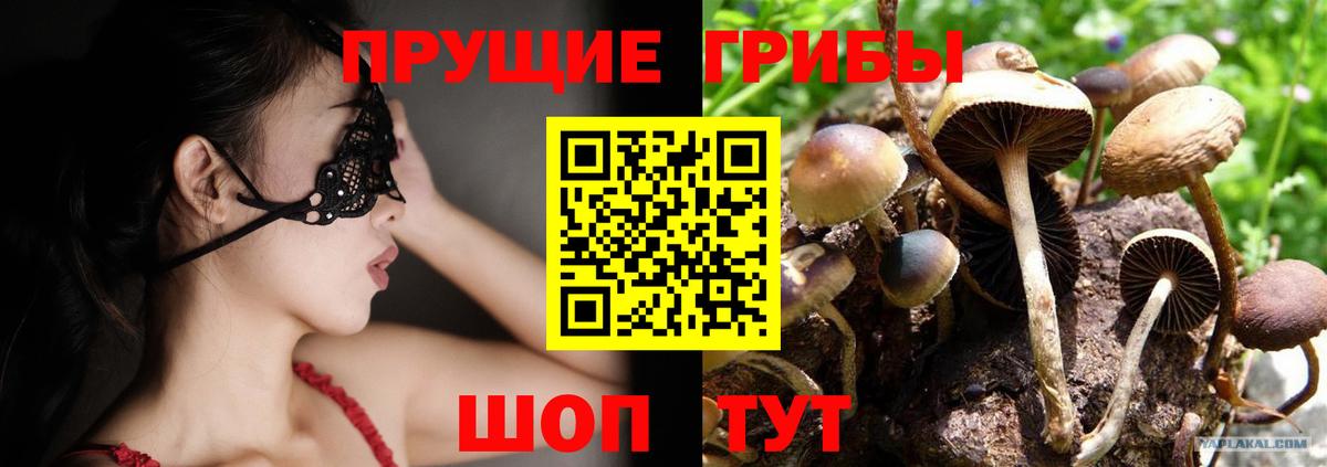 Псилоцибиновые грибы GOLDEN TEACHER  Вход с VPN  Псилоцибиновые грибы мицелий  Александров 