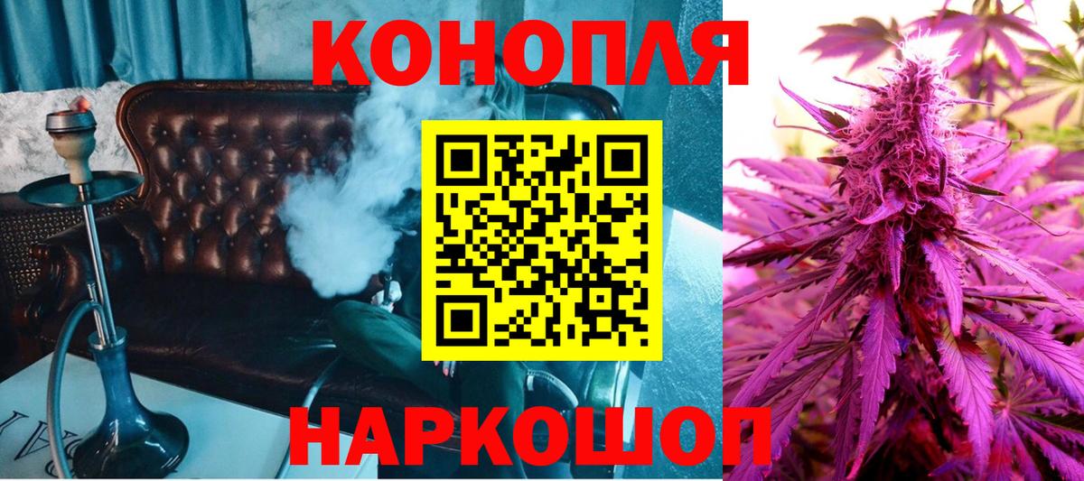 Каннабис OG Kush Александров
